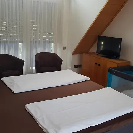 Apartment Ferienwohnung Konig Gunter Worms